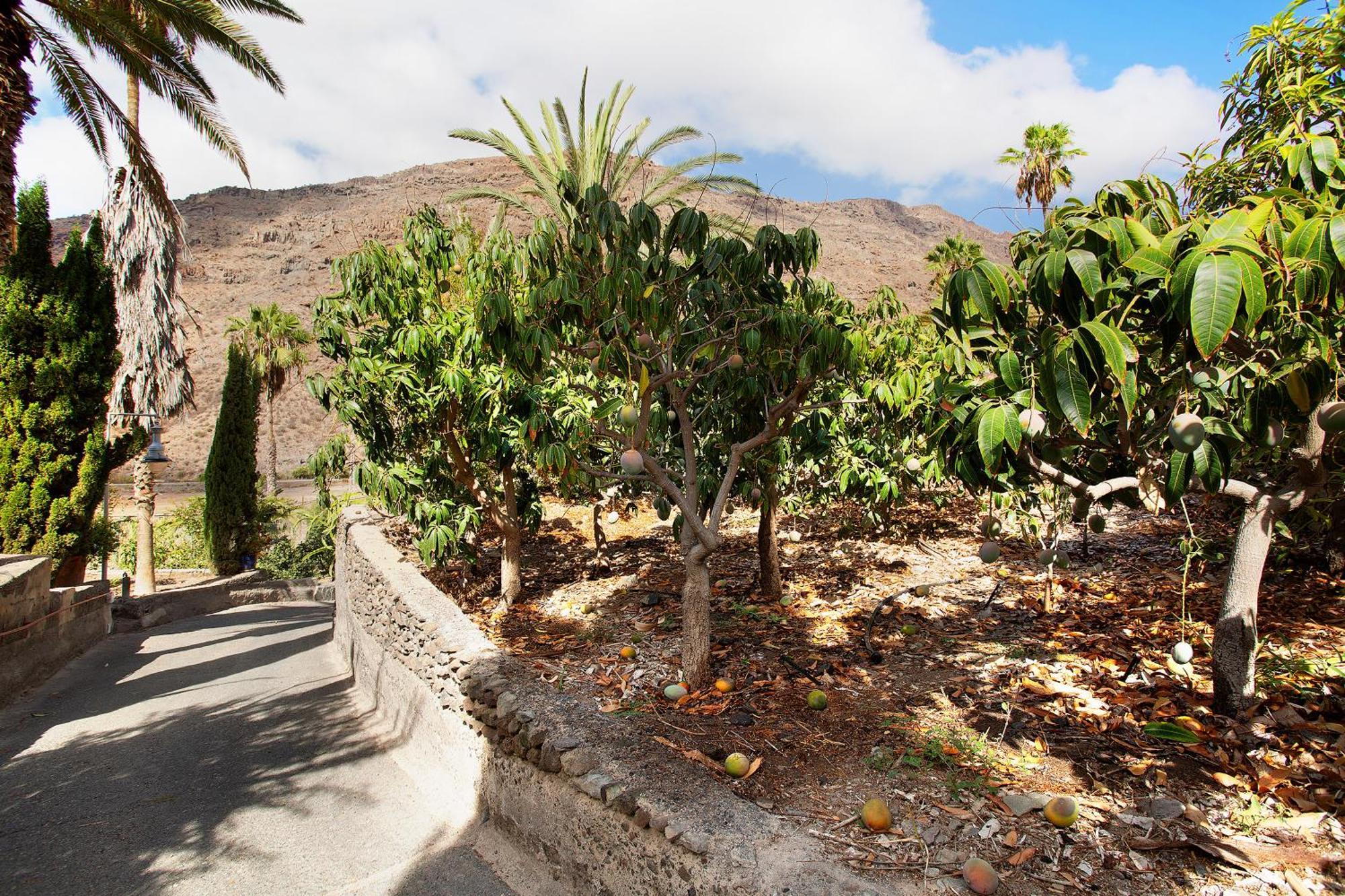 فيلا Mogánفي Casa Paraiso Del Molinero المظهر الخارجي الصورة
